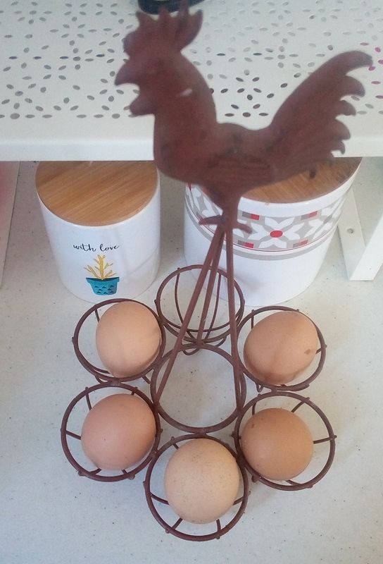 Pourquoi je ne conserve plus mes oeufs au frigo - La Vie Des Poules