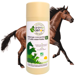 animodetox cheval huiles essentielles