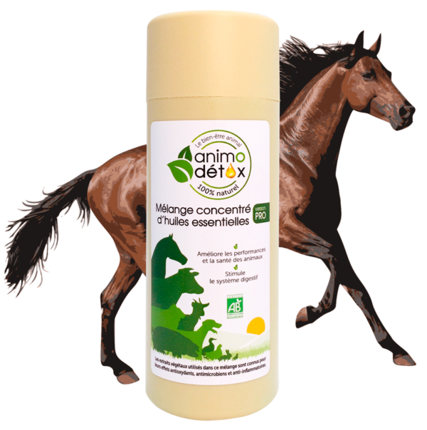animodetox cheval huiles essentielles