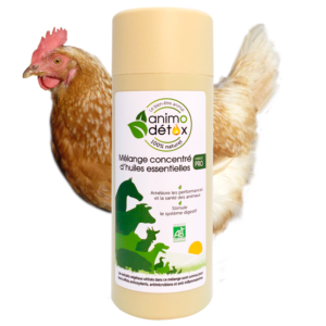 animodetox huile essentielle volaille poule